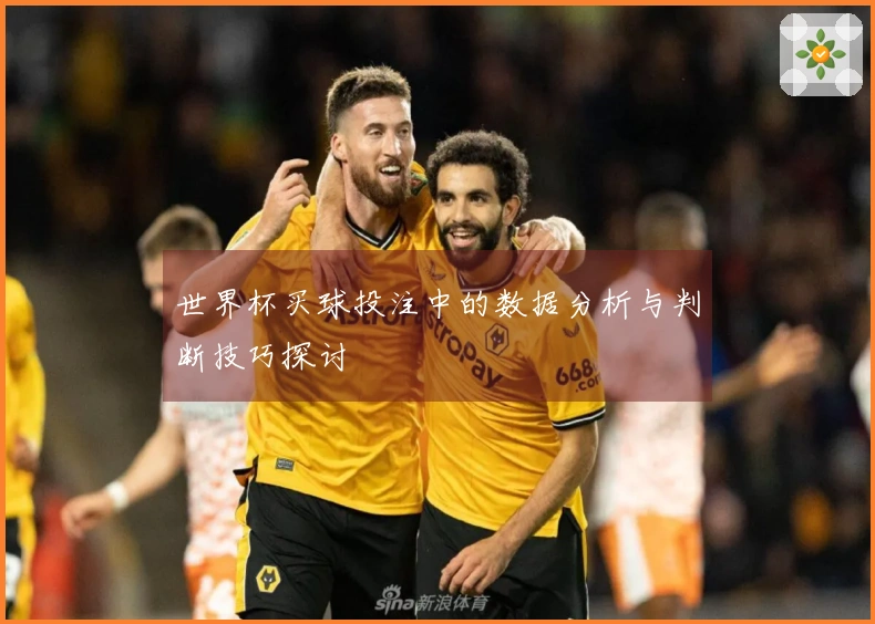 世界杯买球投注中的数据分析与判断技巧探讨