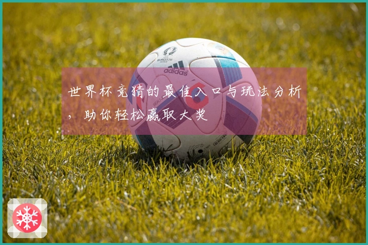 世界杯竞猜的最佳入口与玩法分析，助你轻松赢取大奖