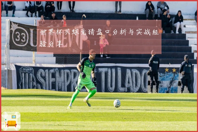 世界杯买球竞猜盘口分析与实战经验分享