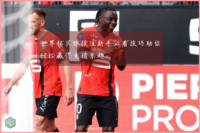 世界杯买球投注新手必看技巧助你轻松赢得竞猜乐趣