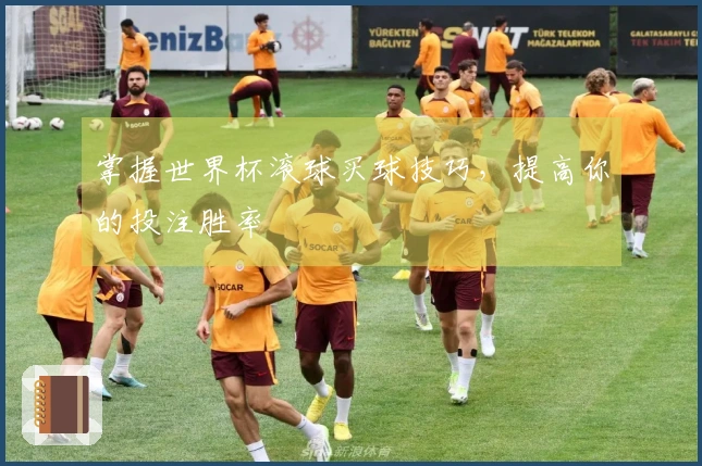 掌握世界杯滚球买球技巧，提高你的投注胜率