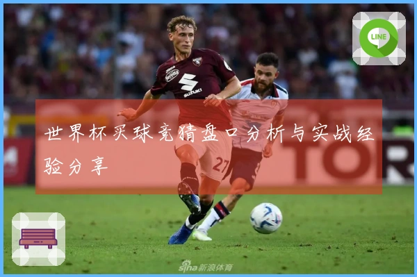 世界杯买球竞猜盘口分析与实战经验分享