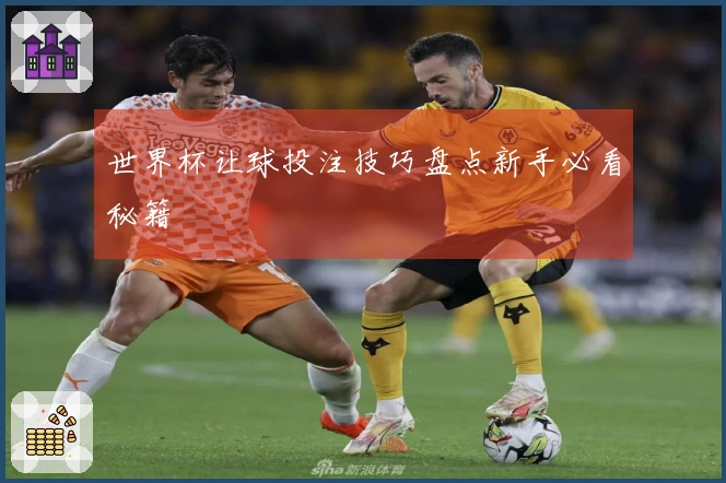 世界杯让球投注技巧盘点新手必看秘籍