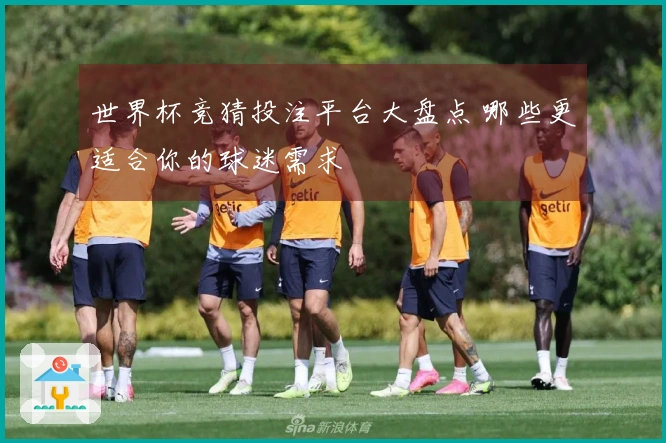 世界杯竞猜投注平台大盘点 哪些更适合你的球迷需求